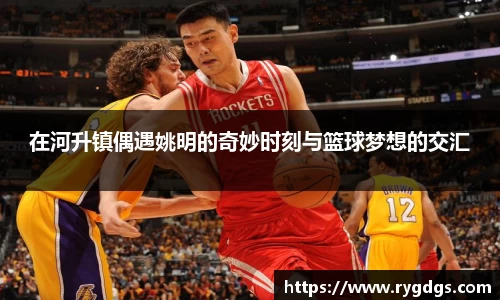 在河升镇偶遇姚明的奇妙时刻与篮球梦想的交汇